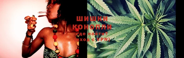 spice Бугульма