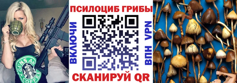 Купить  Малмыж  Галлюциногенные грибы MAGIC MUSHROOMS 